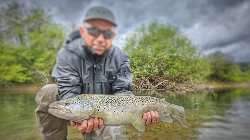 perfect brown trout (Small).